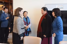 越共中央政治局委员、国会常务副主席丛氏放会见联合国秘书长办公厅主任维奥蒂（图片来源：越通社）