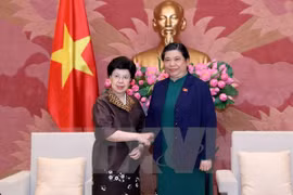 国会常务副主席丛氏放（右）会见世卫组织总干事陈冯富珍。（图片来源：越通社）