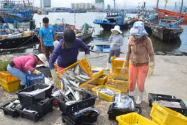 今年前10个月越南水产品出口额约达67.3亿美元