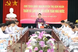 越南国会主席阮氏金银在工作会谈上发言。