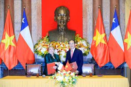 国家主席陈大光与智利总统米歇尔·巴切莱特举行会谈