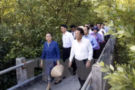 巴妮•雅陶都参观金瓯省拉姆萨尔湿地