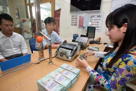 附图（图片来源于网络） 