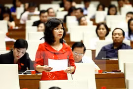 附图：广义省国会代表范氏秋庄在会议上发表讲话（图片来源：越通社）