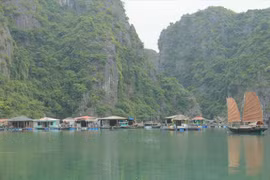 广宁省努力保护与弘扬下龙湾渔村特色的文化价值