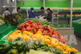 努力推动食品安全透明