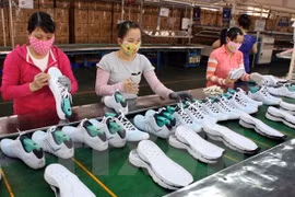 附图。（图片来源：越通社）