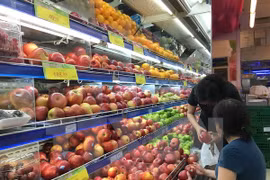 附图。（图片来源：越通社）