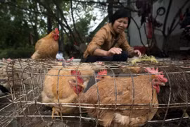 附图