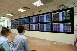 附图。（图片来源：越通社）