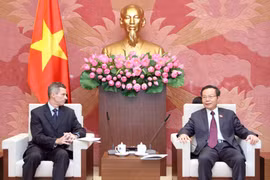 越南国会副主席冯国显会见福特集团东盟地区总裁马克·考菲曼。