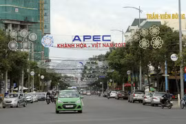 2017年越南APEC峰会：肯定亚太经合组织论坛的表率作用