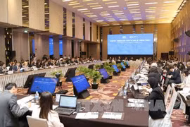 2017年亚太经合组织（APEC）第一次高官会（图片来源：越通社）