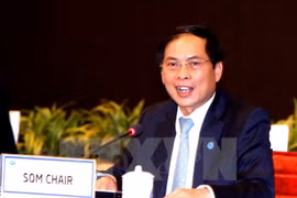 2017年APEC高官会主席、越南外交部副部长裴青山。