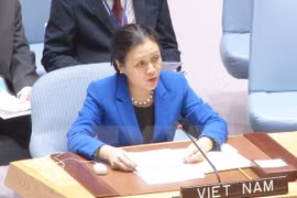 越南常驻联合国代表团团长阮芳娥大使。
