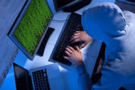附图。（图片来源：因特网）