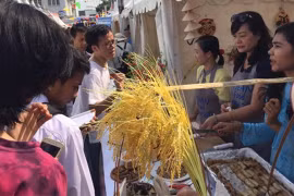 向国际友人介绍越南春卷。（图片来源：越南驻印尼大使馆提供）