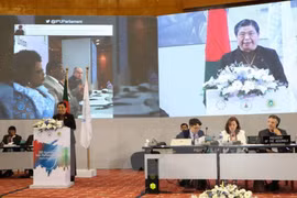 越南国会副主席丛氏放在各国议会联盟第136届大会上发表讲话（图片来源：越通社）