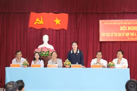 国会主席阮氏金银接待芹苴市丰田县选民