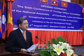 越南国会对外委员会主任阮文饶在会上发表讲话。
