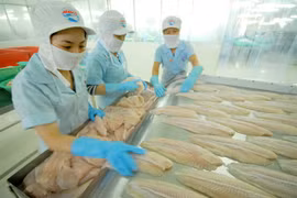 越南努力加大对欧盟查鱼出口力度