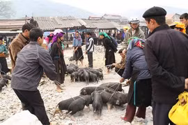 一闻到阵阵扑鼻而来的香味就令人垂涎欲滴的 “腋夹”猪脆皮烤肉。