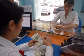 附图（图片来源：因特网）