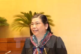 越南国会常务副主席丛氏放（图片来源：越通社）