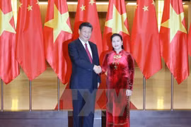 越南国会主席阮氏金银会见中共中央总书记、国家主席习近平