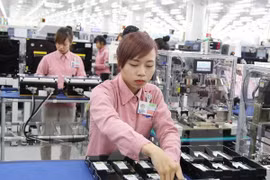 附图（图片来源：因特网）