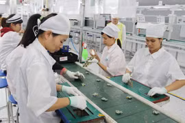 附图。（图片来源：越通社）