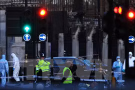 英国警方赴现场调查。