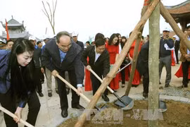 阮善仁参加植树活动