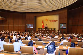 国会常务委员会民愿委员会主任阮青海。（图片来源：越通社） 