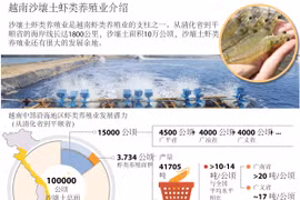 越南沙壤土虾类养殖业介绍