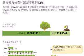 越南努力使森林覆盖率达到42%