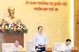 国会主席陈青敏在会上发言。图自越通社