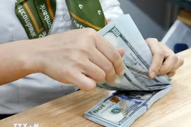 资料图。图自越通社
