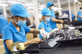 使用30万亿越盾失业保险基金结余支持受疫情影响企业和劳动者