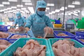 越南力争实现2021年农林水产品出口额达450亿美元的目标