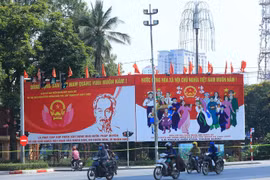 东南亚专家：越南是国会代表成分多样平衡方面的亮点
