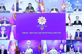 东盟与加拿大和新西兰加强合作关系 共同应对新冠肺炎疫情