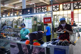 胡志明市各家企业复工复产已迫不及待 
