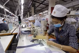 今年2月份越南新注册成立企业数量逾8000家