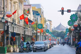 越共十三大是越南党和国家发展史上的重要里程碑