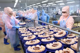 今年前9个月进出口税征税增长25.83%
