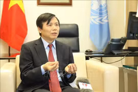 邓廷贵大使：国家主席阮春福出席第76届联合国大会高级别会议彰显越南应对全球挑战的责任和坚定承诺