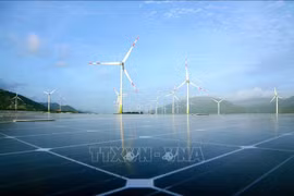 能源研究院：未来5年越南可再生能源开发利用水平或将下降