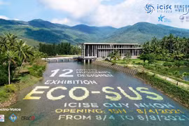 当代艺术展在平定省归仁市开展