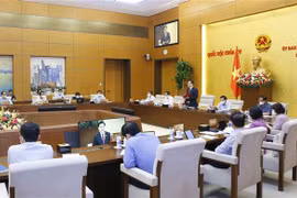 国会常委会第四次会议：彻底解决实施疫苗战略过程中面临的问题